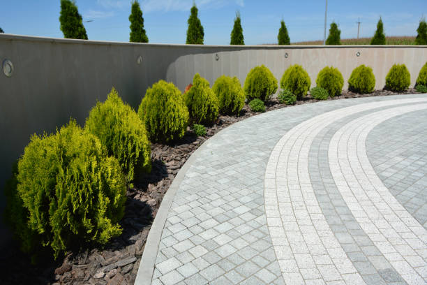 Reasons to Select Us for Your Driveway Paving Requirements in Kalispell, MT